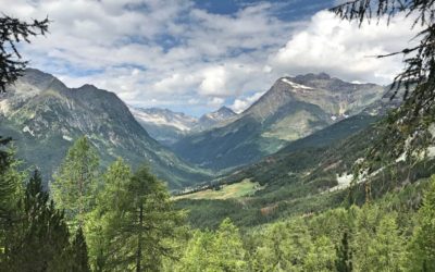 Il Sentiero per il Lago PalÃ¹