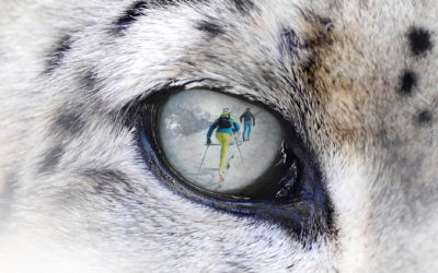 Snow Leopard Day 2020: sciare per una buona causa EVENTO ANNULLATO