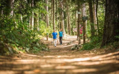 Il parco del respiro in Paganella: benessere camminando tra gli alberi