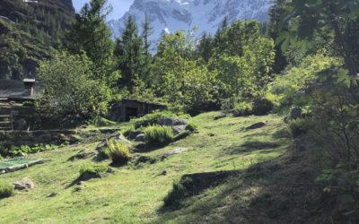 Musica in Alpeggio a Macugnaga Monte Rosa: date, orari, prenotazioni