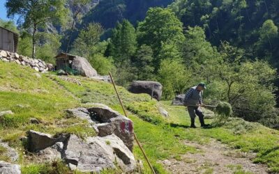Alpfoodway, progetto di salvaguardia e valorizzazione del patrimonio alimentare delle Alpi