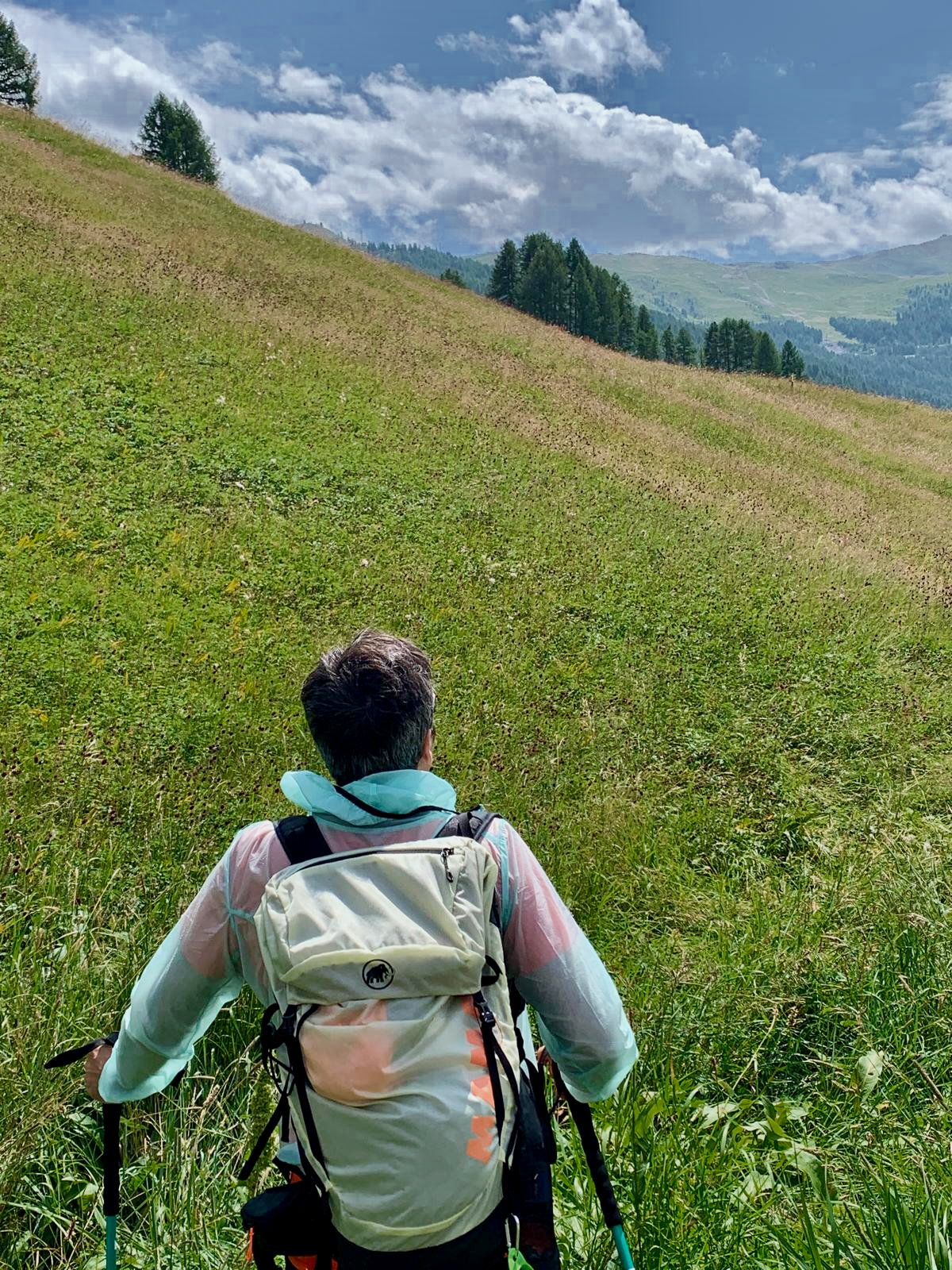 Camminare nella natura delle Alpi