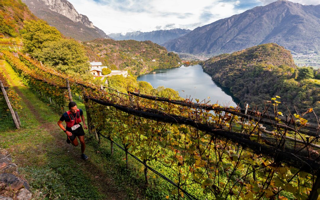 Valle dei Segni Wine Trail: programma 2024