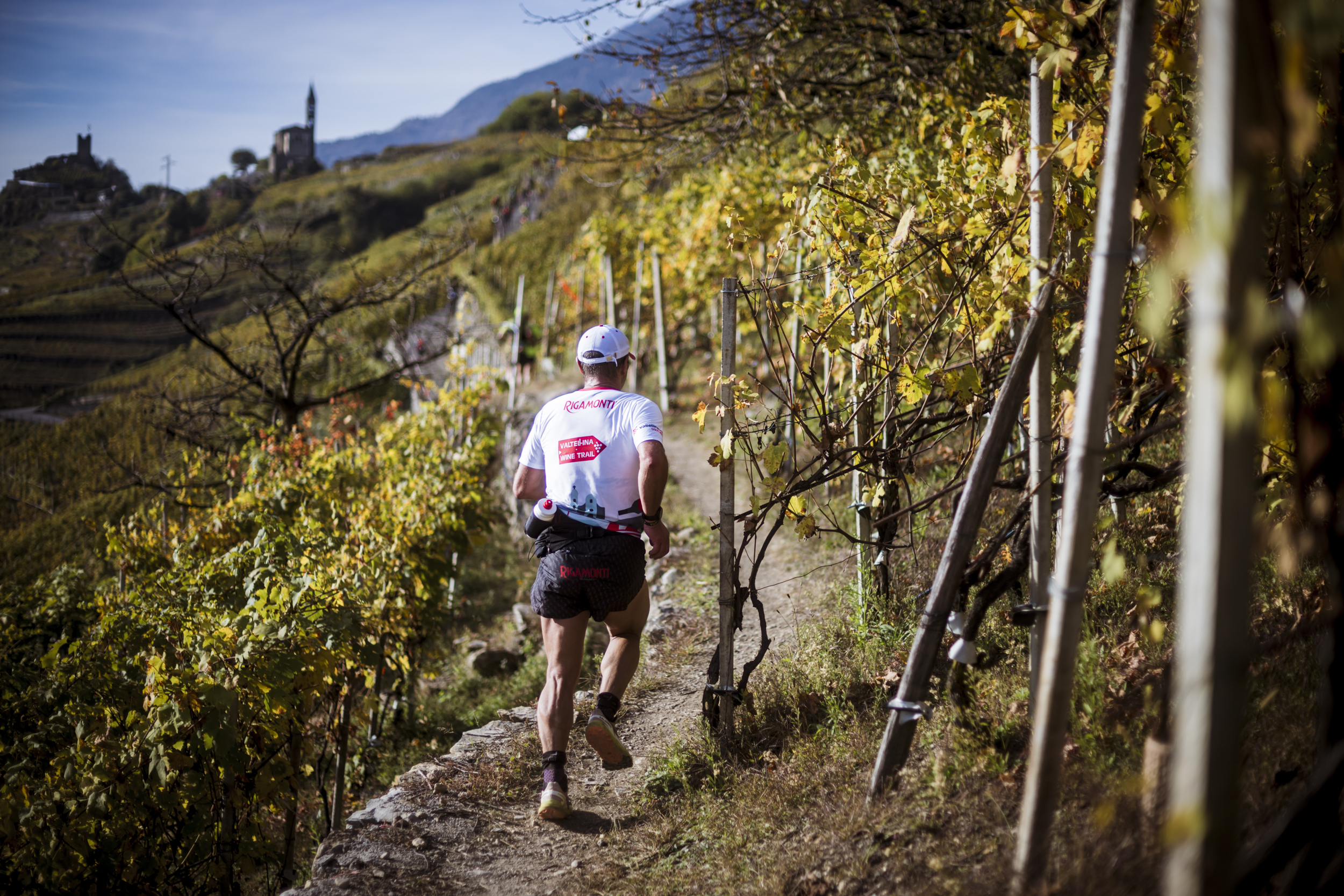 Valtellina Wine Trail 2024